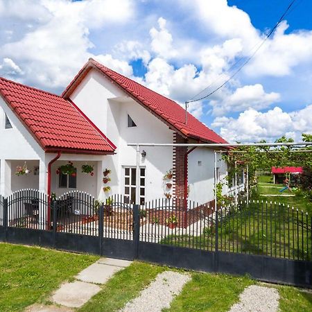 Casa De Vacanta Marya Baia de Fier Ngoại thất bức ảnh