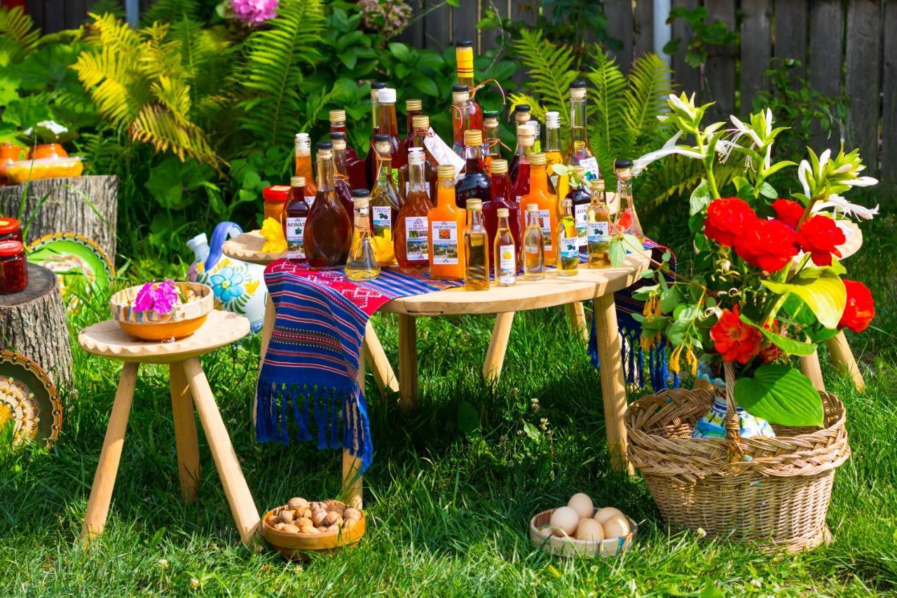 Casa De Vacanta Marya Baia de Fier Ngoại thất bức ảnh