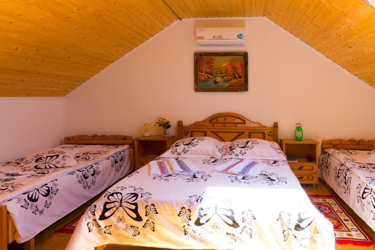 Casa De Vacanta Marya Baia de Fier Ngoại thất bức ảnh