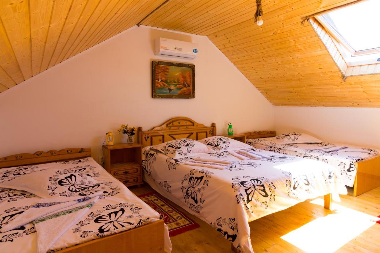 Casa De Vacanta Marya Baia de Fier Ngoại thất bức ảnh