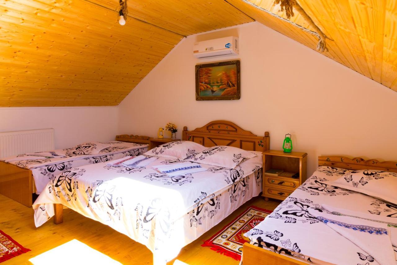 Casa De Vacanta Marya Baia de Fier Ngoại thất bức ảnh