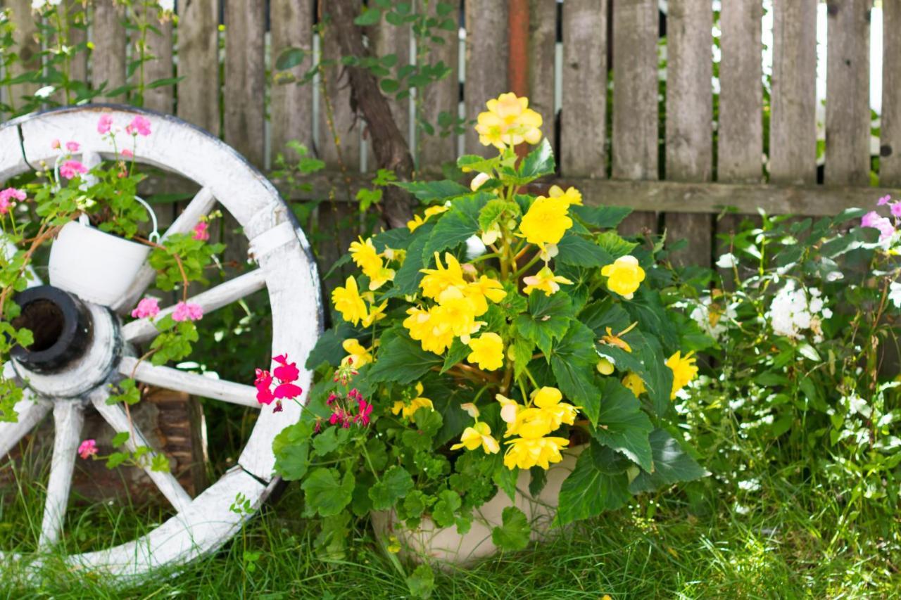 Casa De Vacanta Marya Baia de Fier Ngoại thất bức ảnh