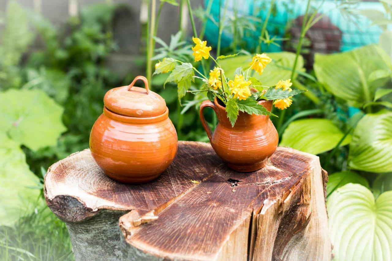 Casa De Vacanta Marya Baia de Fier Ngoại thất bức ảnh