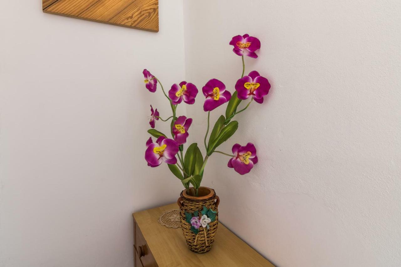 Casa De Vacanta Marya Baia de Fier Ngoại thất bức ảnh