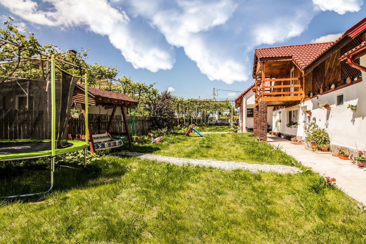 Casa De Vacanta Marya Baia de Fier Ngoại thất bức ảnh
