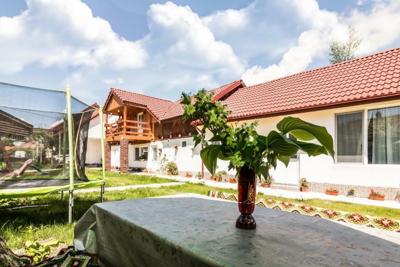 Casa De Vacanta Marya Baia de Fier Ngoại thất bức ảnh